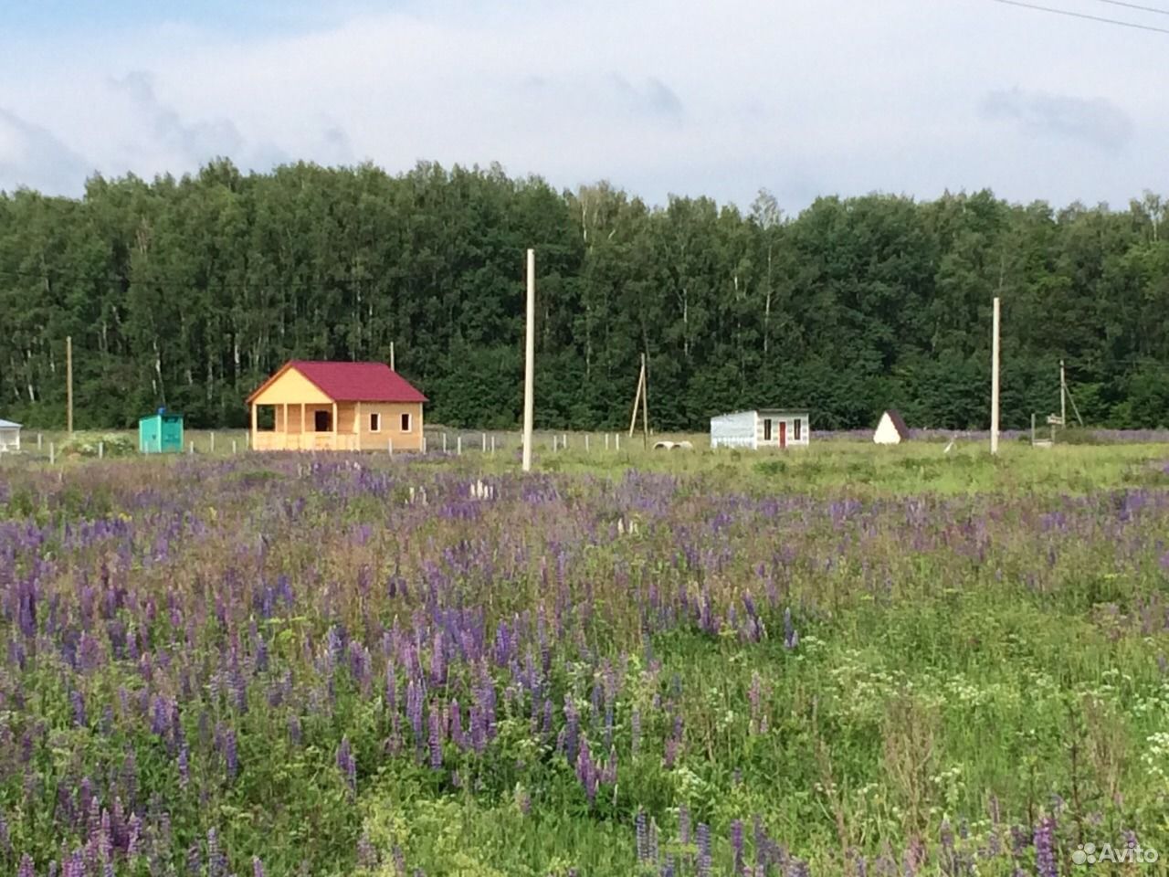 Купить Земельный Участок Во Владимирской Области Радужный