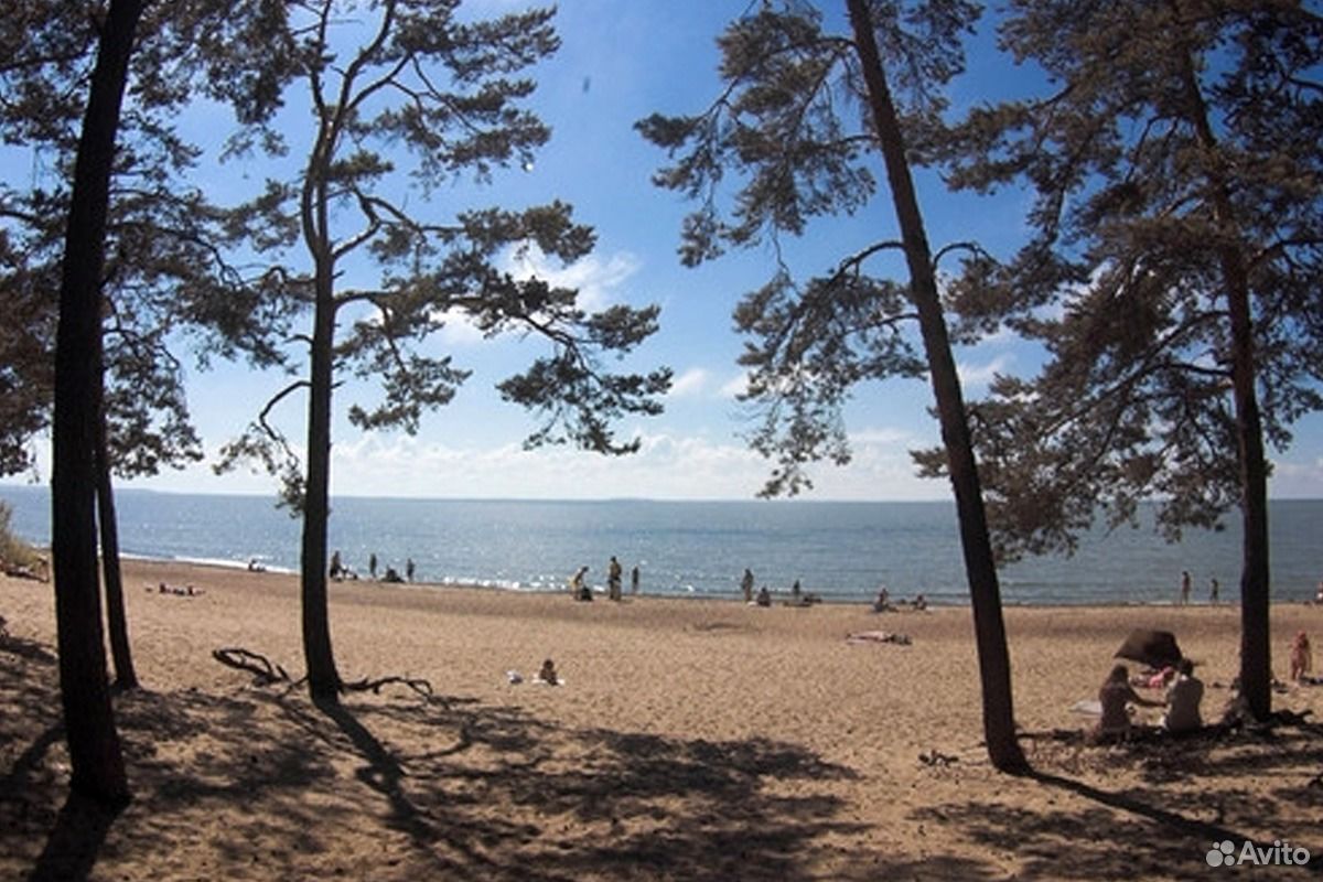 Санкт петербург поселок курортный. Финский залив в Санкт-Петербурге Репино. Финский залив в Ушково. Финский залив Курортный район СПБ Репино. Курортный район Санкт-Петербурга Репино-Комарово.