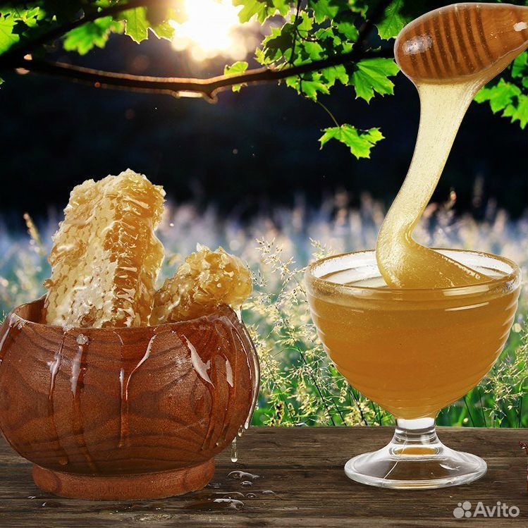 Продаётся мёд купить на Зозу.ру - фотография № 2