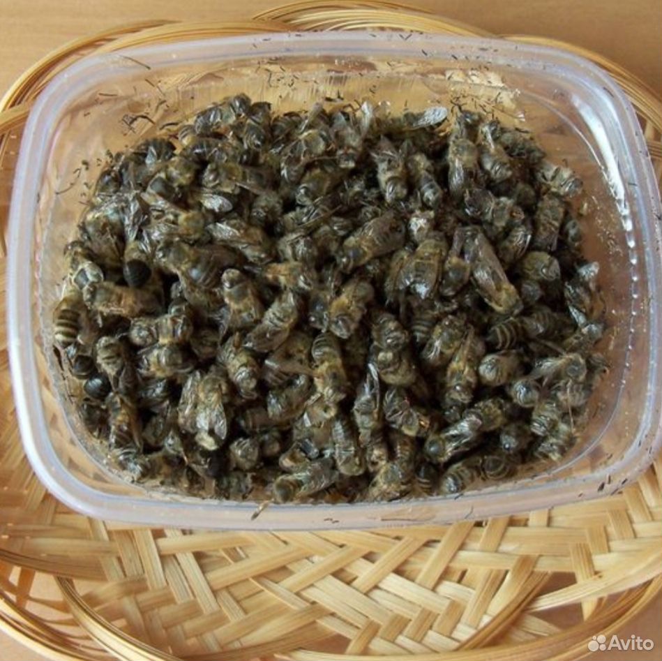 Отличный мед и другие продукты пчеловодства купить на Зозу.ру - фотография № 9