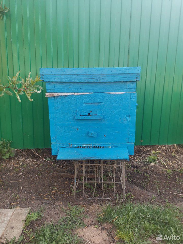 Пчелосемьи карпатка купить на Зозу.ру - фотография № 1