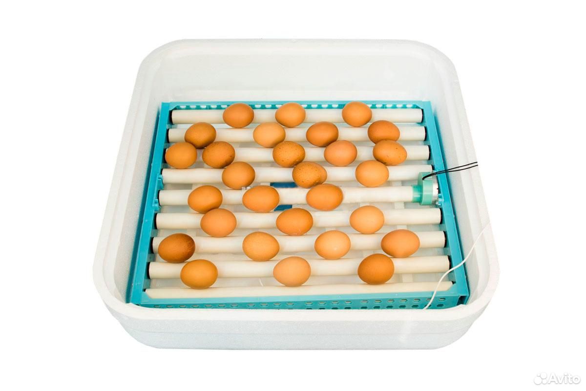 Инкубатор А-64 на 54 яйца автомат. птичий двор купить на Зозу.ру - фотография № 3