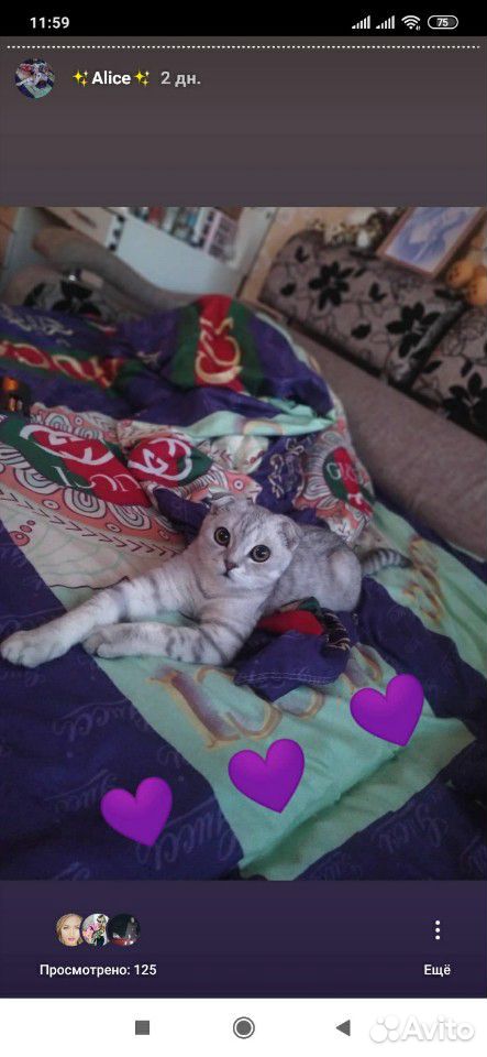 Кошка. Вязка купить на Зозу.ру - фотография № 2