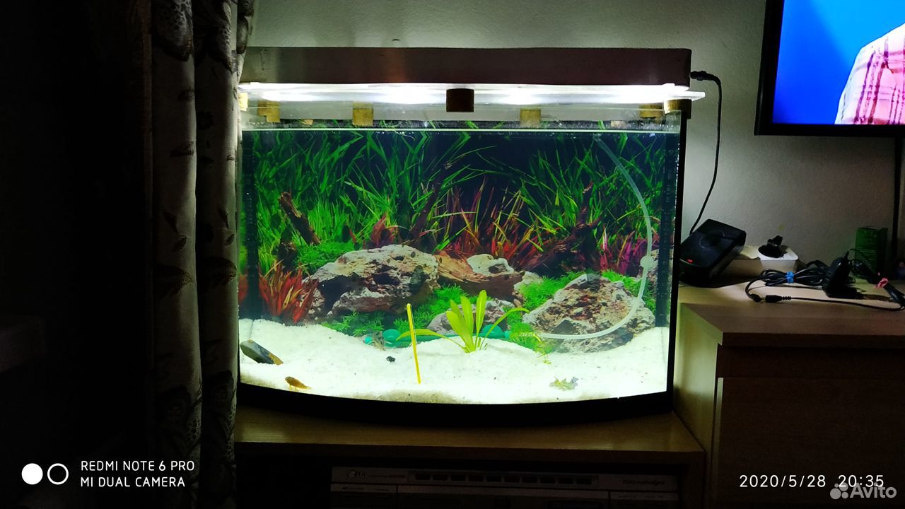 Продам аквариум 70 литров в комплекте компрессор купить на Зозу.ру - фотография № 1
