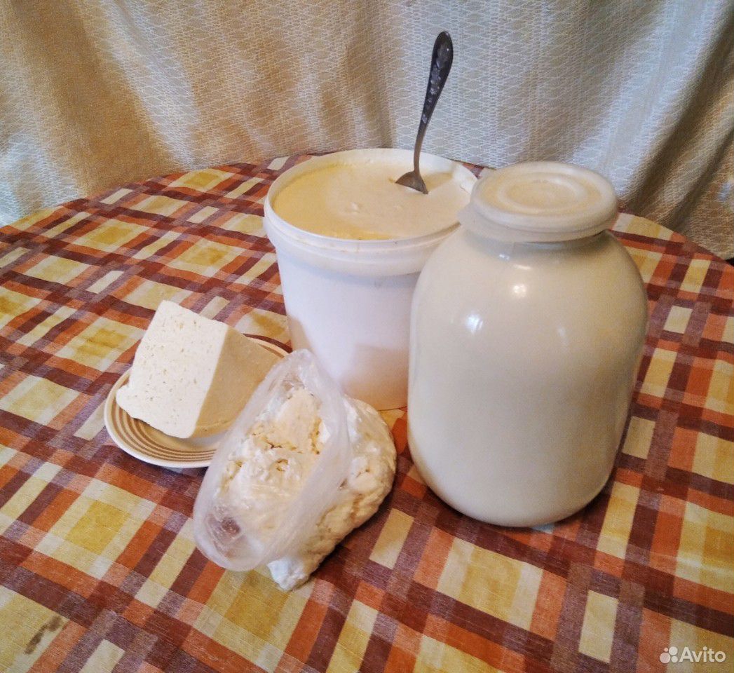 Молоко,сметана,творог,сыр купить на Зозу.ру - фотография № 1
