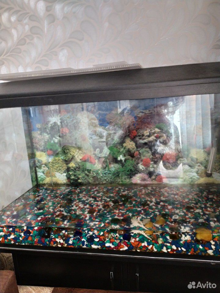 Продается аквариум 230 литров полностью оборудован купить на Зозу.ру - фотография № 4