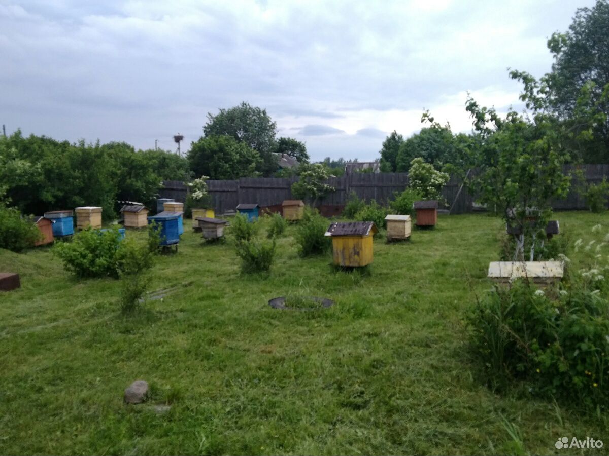 Инвентарь для пчеловодства купить на Зозу.ру - фотография № 1