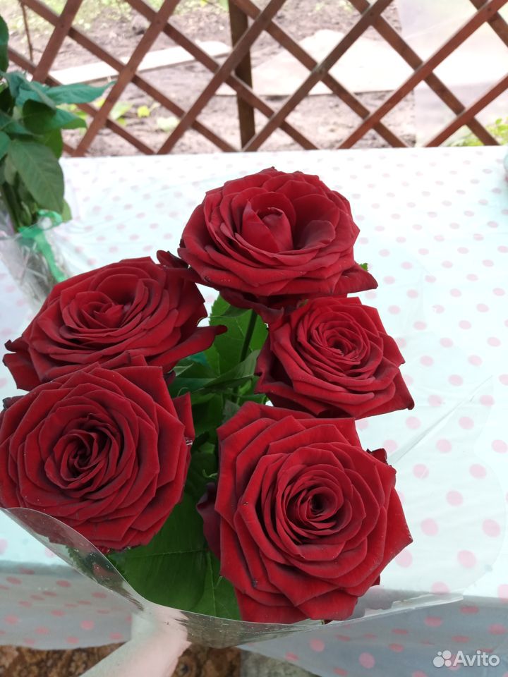 Букет из 5 роз купить на Зозу.ру - фотография № 1