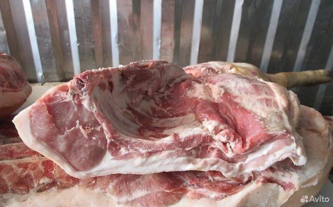Мясо домашних свиней. Мясо мангалицы полутушах.
