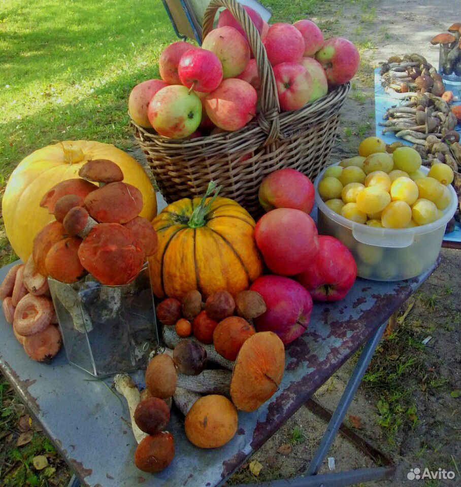 Домашнее фрукты, овощи,грибы,ягоды купить на Зозу.ру - фотография № 1