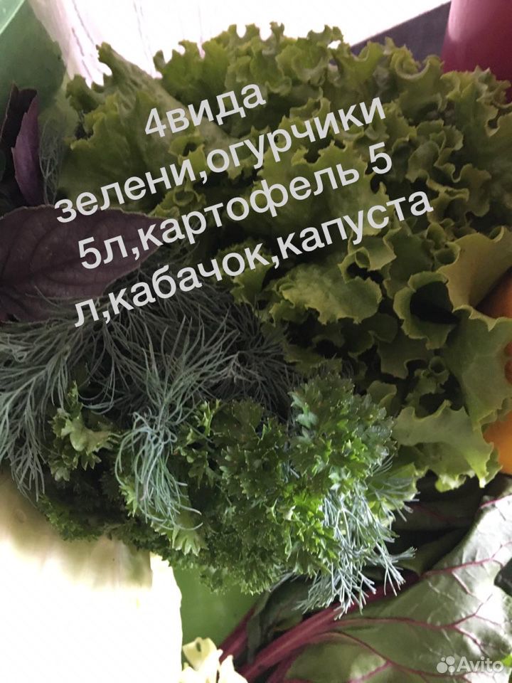 Овощной набор купить на Зозу.ру - фотография № 2