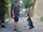 Дрессировка собак в Ялте объявление продам