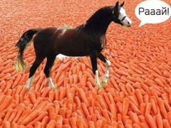 Морковь картофель, свекла