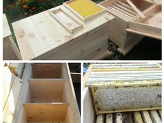 Ульи для разведенческих пчелохозяйств и пасек