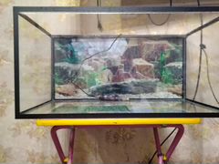 Продаю аквариум 110-120л. 2 черепахи и водонагрева