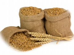 Пшеница с доставкой