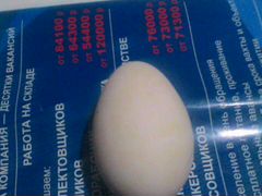 Гусиные яйца инкубационные