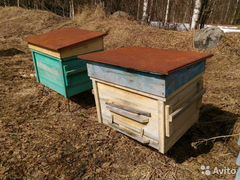 Пчёлы, семья с ульем