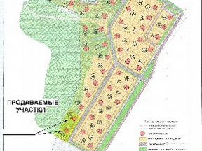 Карта полушкино одинцовский район