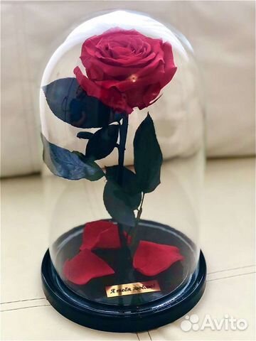 Роза в колбе