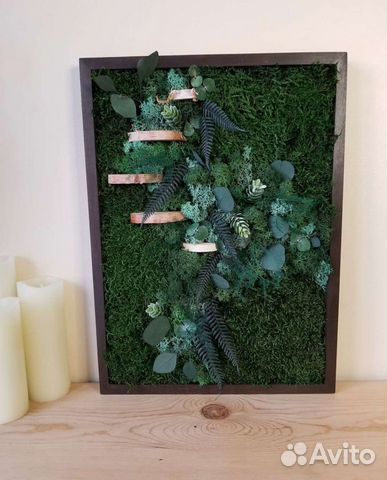 Фитокартина панно из мха мох стабилизированный фит