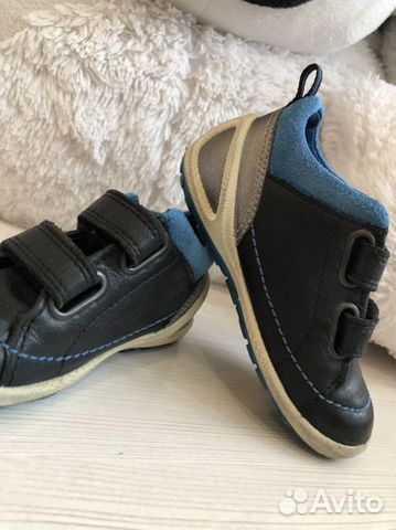 ecco biom 24