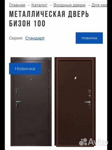 Металлическая дверь бизон 100