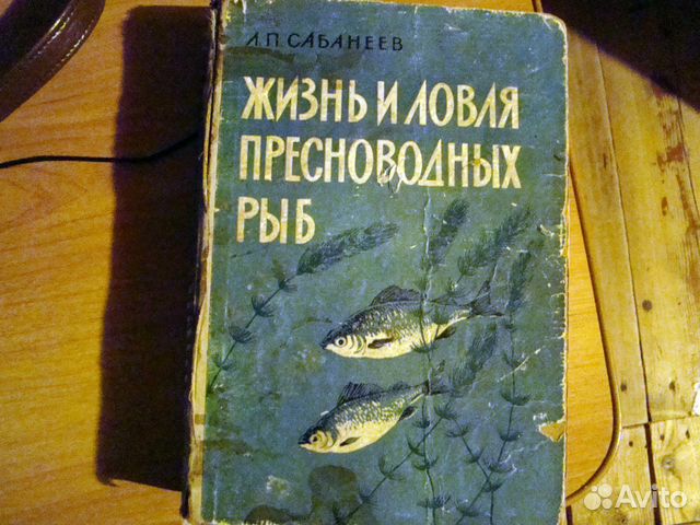 Сабанеев - Жизнь и ловля пресноводных рыб