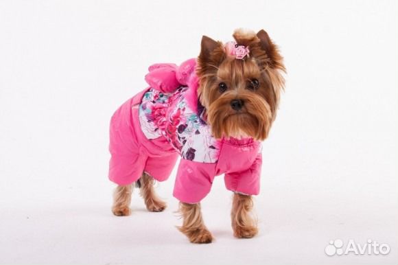 Зимняя одежда для собак купить на Зозу.ру - фотография № 5