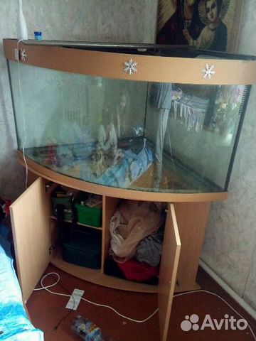 Угловой панорамный аквариум купить на Зозу.ру - фотография № 2
