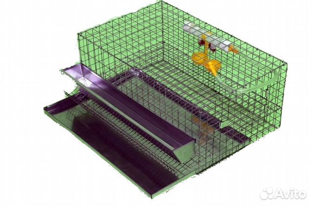 Клетка для перепелов