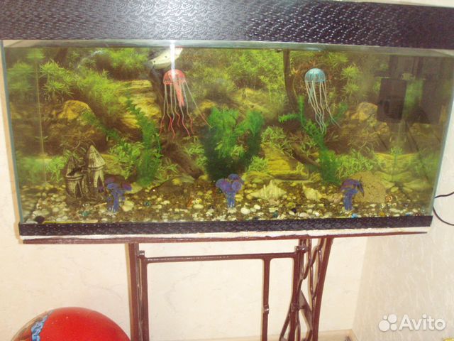 Продам аквариум на 170л купить на Зозу.ру - фотография № 1