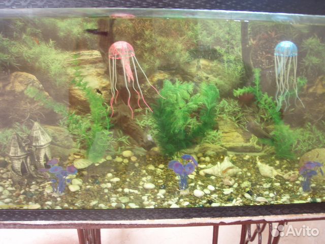 Продам аквариум на 170л купить на Зозу.ру - фотография № 2