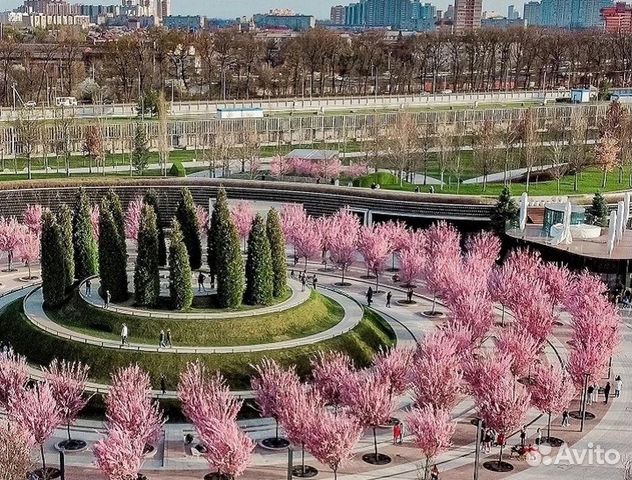 

Квартира-студия, 23 м², 1 кровать