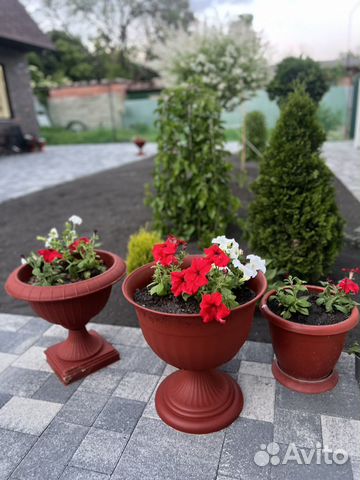 

Квартира-студия, 25 м², 1 кровать