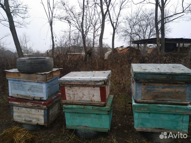 Улей для пчел купить на Зозу.ру - фотография № 1
