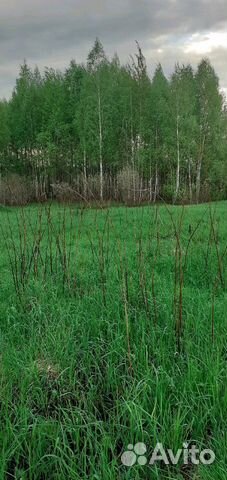 Участок 27 сот. (СНТ, ДНП)