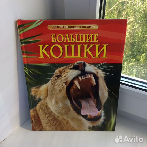 Книга «Большие кошки»