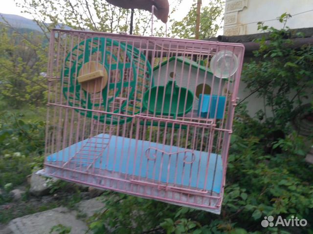 Клетка для птиц и для хомячков купить на Зозу.ру - фотография № 2