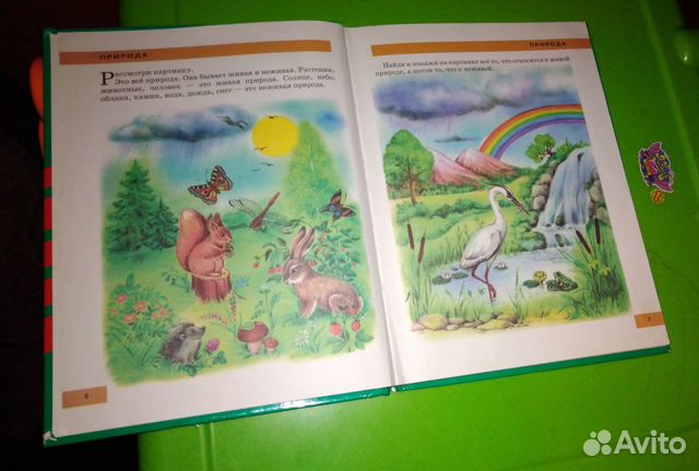 Программа занятий 