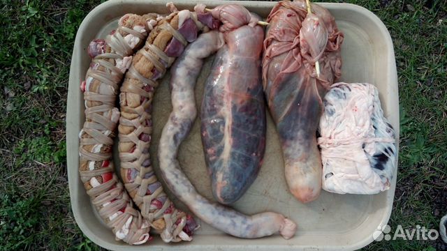 Бараны и овцы