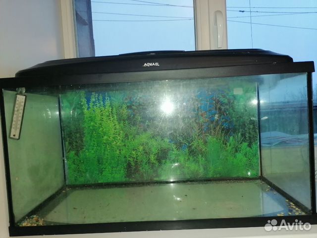 Продам аквариум 100литров купить на Зозу.ру - фотография № 1