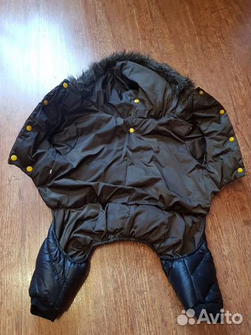 Одежда для собак Одежда для собак