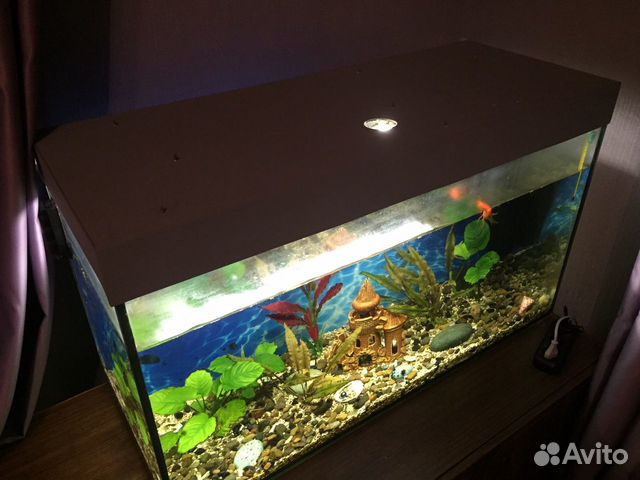 Продаётся аквариум на 180л купить на Зозу.ру - фотография № 5
