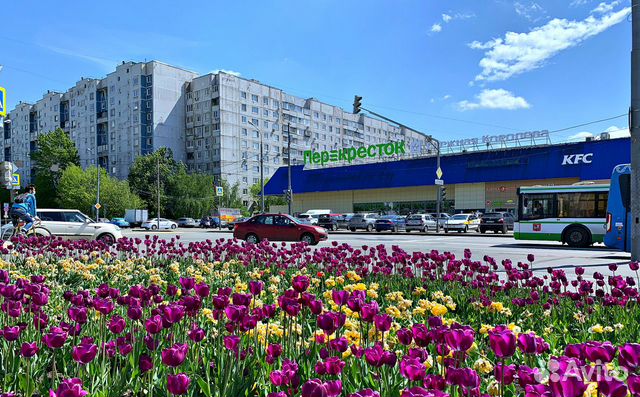 Студия, 13.5 м², 1/12 эт. Студия, 13.5 м², 1/12 эт.