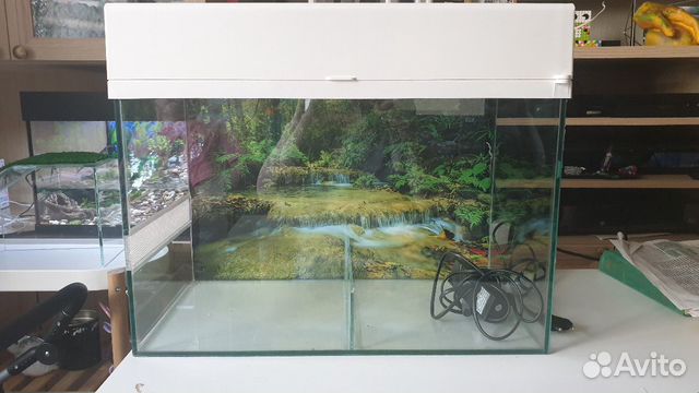 Террариум Террариум