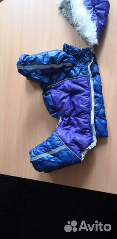 Одежда для собак