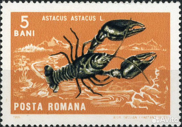 Морская фауна. Румыния 1966 г Морская фауна. Румыния 1966 г