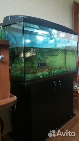 Аквариум
