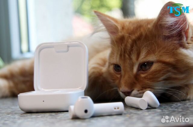 Наушники Xiaomi Mi AirDots Pro 2 SE